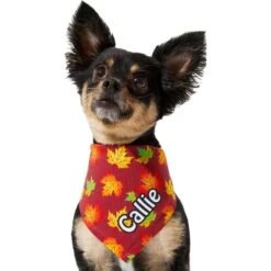 Frisco Fall Leaves Personalized Dog & Cat Bandana -Cat Toy Shop 296994 PT6. AC SS1800 V1627654351