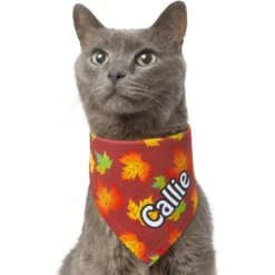 Frisco Fall Leaves Personalized Dog & Cat Bandana -Cat Toy Shop 296994 PT7. AC SS1800 V1627655275