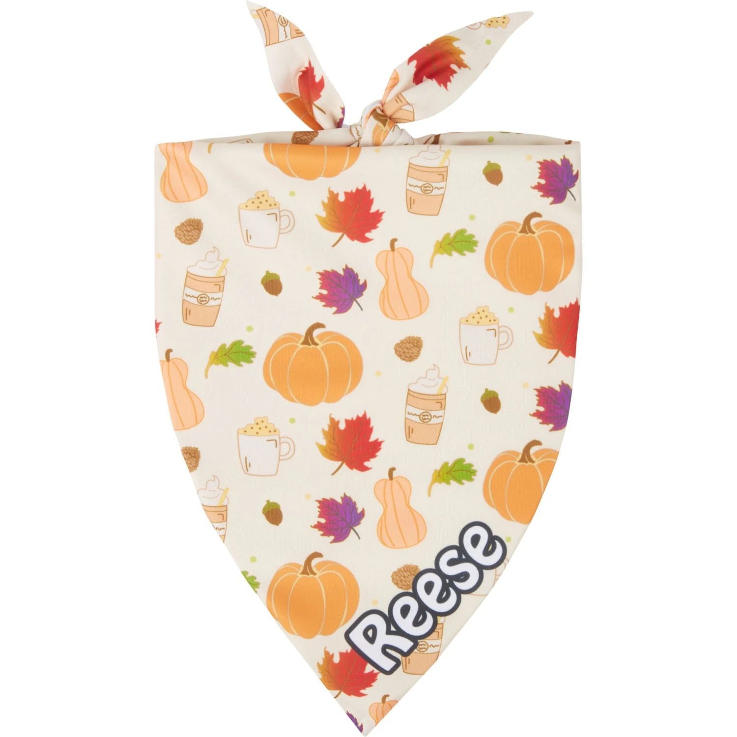 Frisco Pumpkin Spice Personalized Dog & Cat Bandana 1 Frisco Pumpkin Spice Personalized Dog & Cat Bandana