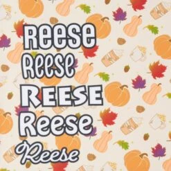 Frisco Pumpkin Spice Personalized Dog & Cat Bandana 13 Frisco Pumpkin Spice Personalized Dog & Cat Bandana -Cat Toy Shop 296998 PT4. AC SS1800 V1627655195