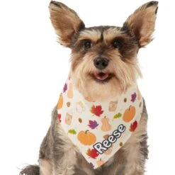 Frisco Pumpkin Spice Personalized Dog & Cat Bandana 15 Frisco Pumpkin Spice Personalized Dog & Cat Bandana -Cat Toy Shop 296998 PT6. AC SS1800 V1627654408