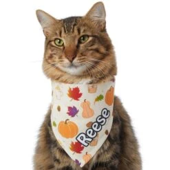 Frisco Pumpkin Spice Personalized Dog & Cat Bandana 16 Frisco Pumpkin Spice Personalized Dog & Cat Bandana -Cat Toy Shop 296998 PT7. AC SS1800 V1627654273