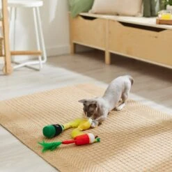 Frisco Brunch Bottomless Mimosas Plush Cat Toy With Catnip, 3 Count -Cat Toy Shop 297288 PT2. AC SS1800 V1642088553