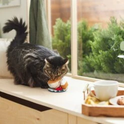 Frisco Brunch Teacup Plush Cat Toy With Catnip -Cat Toy Shop 297292 PT2. AC SS1800 V1642088843