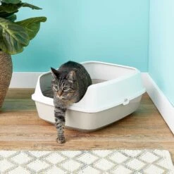 Frisco Decorative Side Table Cat Litter Box Cover & Frisco Open Top Cat Litter Box With Rim, Large -Cat Toy Shop 297992 PT6. AC SS1800 V1621299762
