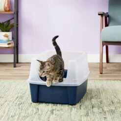 Frisco Plastic Litter Scooper With Caddy & IRIS USA Open Top Litter Box With Scatter Shield -Cat Toy Shop 298166 PT6. AC SS1800 V1623202669