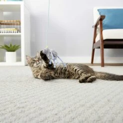 PureBites Chicken Breast Freeze-Dried Raw Cat Treats & Frisco Bouncy Mouse Plush Teaser Cat Toy With Catnip -Cat Toy Shop 298414 PT5. AC SS1800 V1623194253