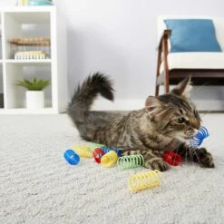 Temptations MixUps Surfers' Delight Flavor Soft & Crunchy Cat Treats & Frisco Colorful Springs Cat Toy -Cat Toy Shop 298532 PT6. AC SS1800 V1623348142