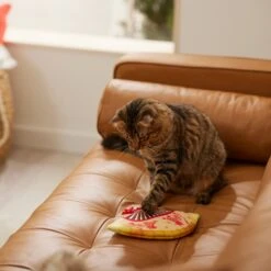 Frisco Lunar New Year Fan Plush Cat Toy With Catnip -Cat Toy Shop 298911 PT3. AC SS1800 V1640269039