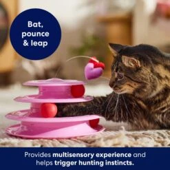 Frisco Unicorn Cat Tracks Cat Toy With Catnip -Cat Toy Shop 298958 PT3. AC SS1800 V1701797064