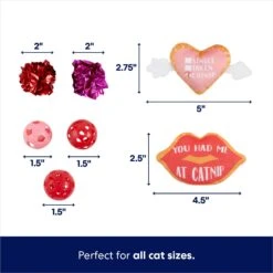 Frisco Valentine Variety Pack Cat Toy With Catnip, 13 Count -Cat Toy Shop 298966 PT2. AC SS1800 V1701364858