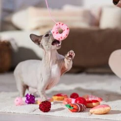 Frisco Valentine Variety Pack Cat Toy With Catnip, 13 Count -Cat Toy Shop 298966 PT3. AC SS1800 V1701364858