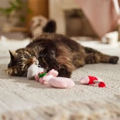 Frisco It's Raining Love Plush Cat Toy With Catnip, 4 Count -Cat Toy Shop 298968 PT3. AC SS1800 V1701364859