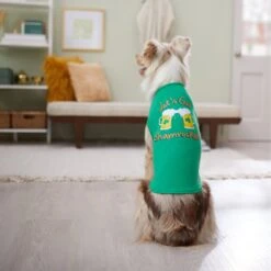Frisco Let's Get Shamrocked Dog & Cat T-Shirt -Cat Toy Shop 300184 PT8. AC SS1800 V1639597401