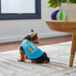 Frisco I'm A Little Eggs-tra Dog & Cat T-Shirt -Cat Toy Shop 300646 PT5. AC SS1800 V1641542509