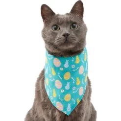 Frisco Spring Easter Egg Dog & Cat Bandana -Cat Toy Shop 300663 PT2. AC SS1800 V1641537094