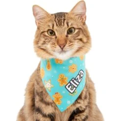 Frisco Gingerbread Cookie Personalized Dog & Cat Bandana -Cat Toy Shop 301361 PT7. AC SS1800 V1628100087