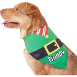 Frisco Santa's Favorite Elf Personalized Dog & Cat Bandana -Cat Toy Shop 301369 PT6. AC SS1800 V1628100146
