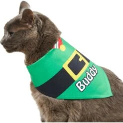 Frisco Santa's Favorite Elf Personalized Dog & Cat Bandana -Cat Toy Shop 301369 PT7. AC SS1800 V1628100114