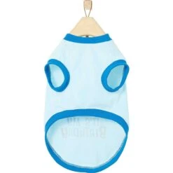 Frisco Happy Birthday Dog & Cat Crown & Frisco It's My Birthday & Cat T-Shirt -Cat Toy Shop 302470 PT6. AC SS1800 V1623065555