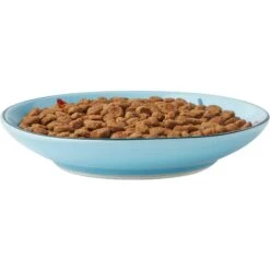 Frisco New York Non-skid Ceramic Cat Dish & Frisco New York Non-skid Ceramic Cat Bowl -Cat Toy Shop 302488 PT2. AC SS1800 V1623059244