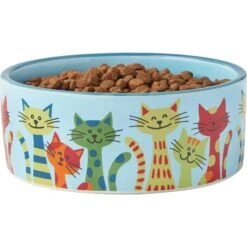 Frisco New York Non-skid Ceramic Cat Dish & Frisco New York Non-skid Ceramic Cat Bowl -Cat Toy Shop 302488 PT6. AC SS1800 V1623041543