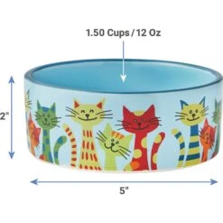 Frisco New York Non-skid Ceramic Cat Dish & Frisco New York Non-skid Ceramic Cat Bowl -Cat Toy Shop 302488 PT7. AC SS1800 V1623052360