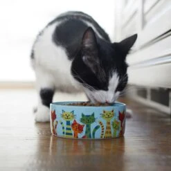 Frisco New York Non-skid Ceramic Cat Dish & Frisco New York Non-skid Ceramic Cat Bowl -Cat Toy Shop 302488 PT8. AC SS1800 V1623091056