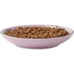 Frisco Paris Non-skid Ceramic Cat Dish & Frisco Paris Non-skid Ceramic Cat Dish -Cat Toy Shop 302490 PT2. AC SS1800 V1623058041
