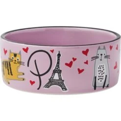Frisco Paris Non-skid Ceramic Cat Dish & Frisco Paris Non-skid Ceramic Cat Dish -Cat Toy Shop 302490 PT5. AC SS1800 V1623048149
