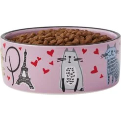 Frisco Paris Non-skid Ceramic Cat Dish & Frisco Paris Non-skid Ceramic Cat Dish -Cat Toy Shop 302490 PT6. AC SS1800 V1623067060