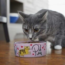 Frisco Paris Non-skid Ceramic Cat Dish & Frisco Paris Non-skid Ceramic Cat Dish -Cat Toy Shop 302490 PT8. AC SS1800 V1623043046