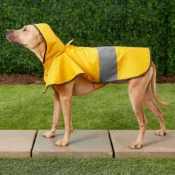 Frisco Lightweight Rainy Days Dog Raincoat & Frisco Lightweight Flamingo Dog Raincoat -Cat Toy Shop 302828 PT4. AC SS1800 V1623042144