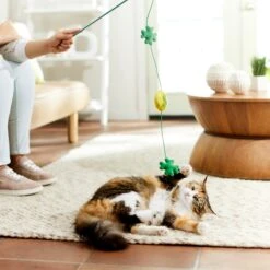 Frisco St. Patrick's Shamrock Teaser Wand Cat Toy With Catnip -Cat Toy Shop 303108 PT3. AC SS1800 V1641230422