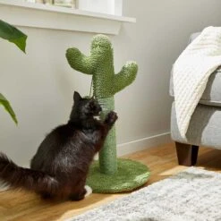 Frisco Cactus Cat Scratching Post & Frisco Dangly Avocado Buddy Plush Cat Toy With Catnip -Cat Toy Shop 303380 PT3. AC SS1800 V1623081149