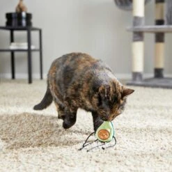 Frisco Cactus Cat Scratching Post & Frisco Dangly Avocado Buddy Plush Cat Toy With Catnip -Cat Toy Shop 303380 PT6. AC SS1800 V1623085642
