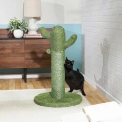 Frisco Cactus Cat Scratching Post & Frisco Taco Plush Cat Toy With Catnip -Cat Toy Shop 303382 PT3. AC SS1800 V1623071255