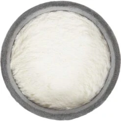 Frisco Modern Round Elevated Cat Bed & Frisco Modern Tunnel Elevated Cat Bed -Cat Toy Shop 303470 PT3. AC SS1800 V1623085360