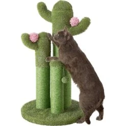 Frisco Self Warming Bolster Round Kitten Bed & Frisco Cactus Cat Scratching Post -Cat Toy Shop 303576 PT4. AC SS1800 V1623039147