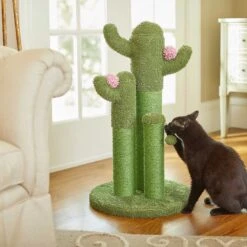 Frisco Self Warming Bolster Round Kitten Bed & Frisco Cactus Cat Scratching Post -Cat Toy Shop 303576 PT7. AC SS1800 V1623065551