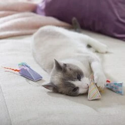 Frisco Spring Party Hat Kickers Cat Toy With Catnip -Cat Toy Shop 306960 PT3. AC SS1800 V1703184746