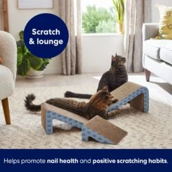 Frisco Nesting Cat Scratcher Toy With Catnip -Cat Toy Shop 308876 PT5. AC SS1800 V1691785301