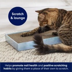 Frisco Double-Wide Cat Scratcher Toy With Catnip -Cat Toy Shop 308878 PT3. AC SS1800 V1678723896