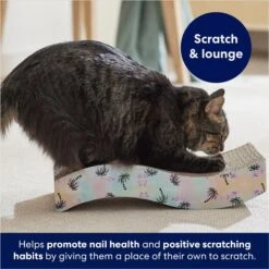 Frisco Wave Cat Scratcher Toy With Catnip -Cat Toy Shop 308885 PT3. AC SS1800 V1678723851