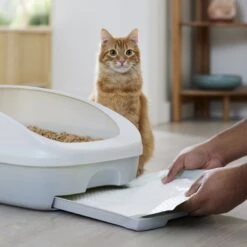 Frisco Cat Litter Pads, Scented -Cat Toy Shop 309828 PT5. AC SS1800 V1675280050