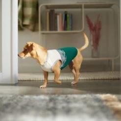 Frisco Tropical Palm Dog & Cat T-Shirt -Cat Toy Shop 312072 PT8. AC SS1800 V1644425897