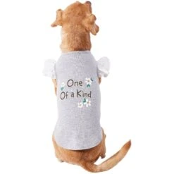 Frisco One Of A Kind Dog & Cat T-Shirt -Cat Toy Shop 312080 PT3. AC SS1800 V1673303002