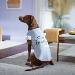 Frisco One Of A Kind Dog & Cat T-Shirt -Cat Toy Shop 312080 PT5. AC SS1800 V1673304060