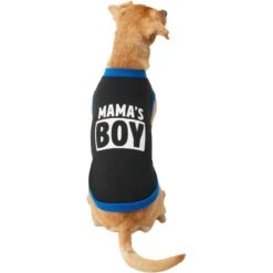 Frisco Mama's Boy Dog & Cat T-Shirt -Cat Toy Shop 312088 PT3. AC SS1800 V1673304117