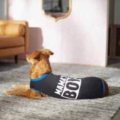 Frisco Mama's Boy Dog & Cat T-Shirt -Cat Toy Shop 312088 PT5. AC SS1800 V1673361675